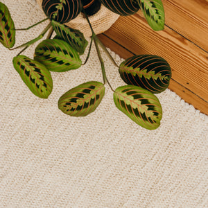 NOVOFLOOR Tapis Vinyle Luca Pearl 60x100 Cm – Élégant, Imperméable Et Anti-Dérapant Pour Votre Intérieur